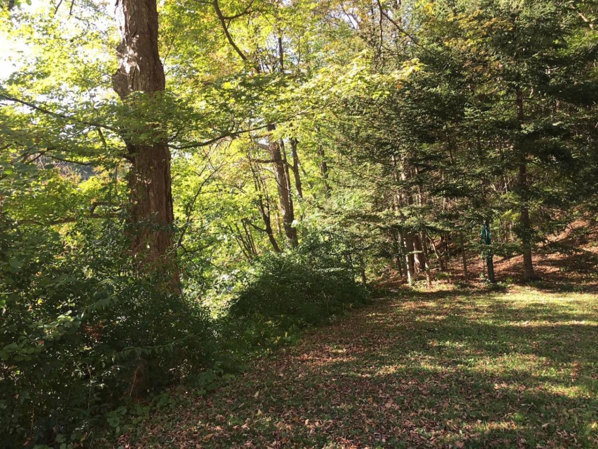 Appartement Catskill Duplex